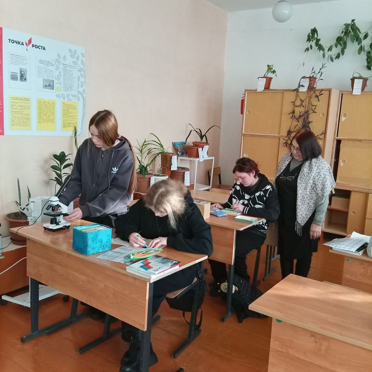 8 класс. Урок по биологии Тема: Насекомые..